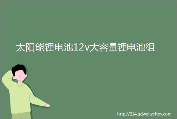 太阳能锂电池12v大容量锂电池组